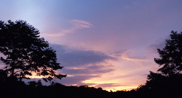 April sunset from Butterfly Cottage, Sunbird Hill