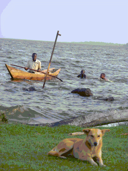 Dog sits on the beach at Lake Nabugabo while children swim