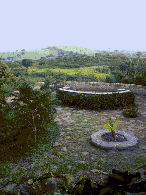 Wetland regeneration Kyambura Gorge Lodge Queen Elizabeth National Park Uganda