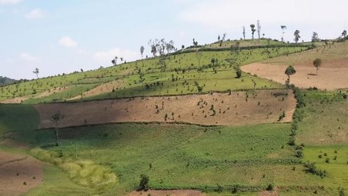 Area deforested for agricultural land, Mukura. Photo. LAFREC Team