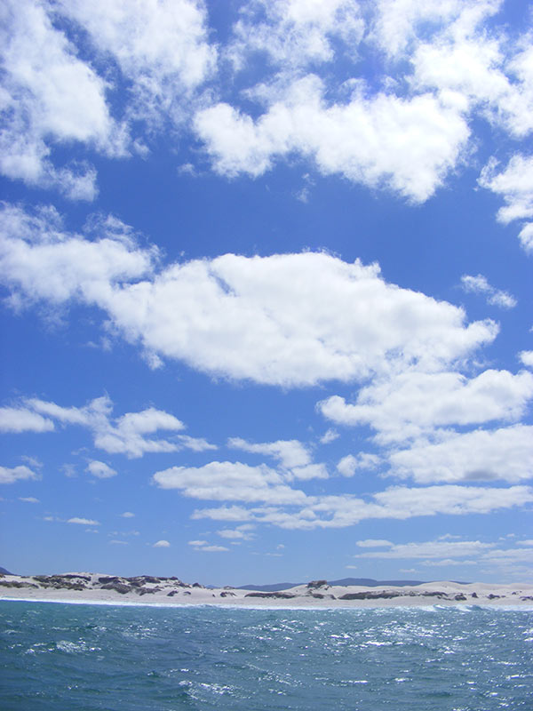 beach Western Cape South Africa