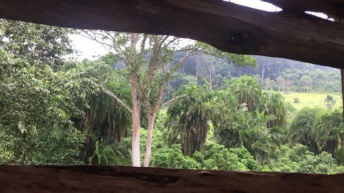 Bird Hide. Sunbird Hill Kibale Forest Uganda