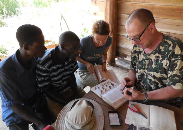 bird ringing Sunbird Hill Bird Club Kibale Forest edge