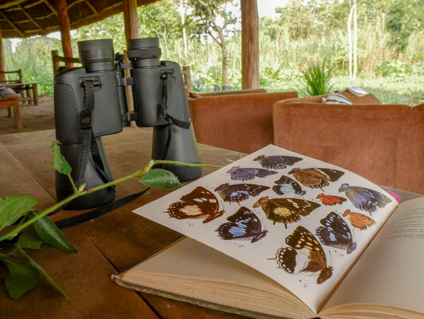 Birders' Lounge Sunbird Hill, edge of Kibale Forest