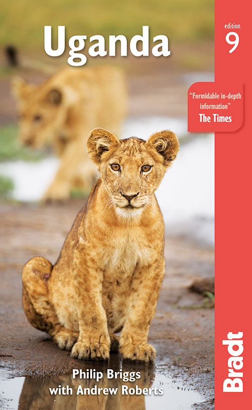 lion cub. Bradt Uganda edition 9 cover image