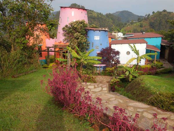 colourful Chameleon Hill, near Kisoro, Uganda