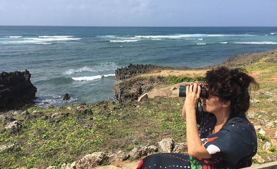 Charlotte, Diary of a Muzungu whale watching, Watamu Marine Association, Kenya