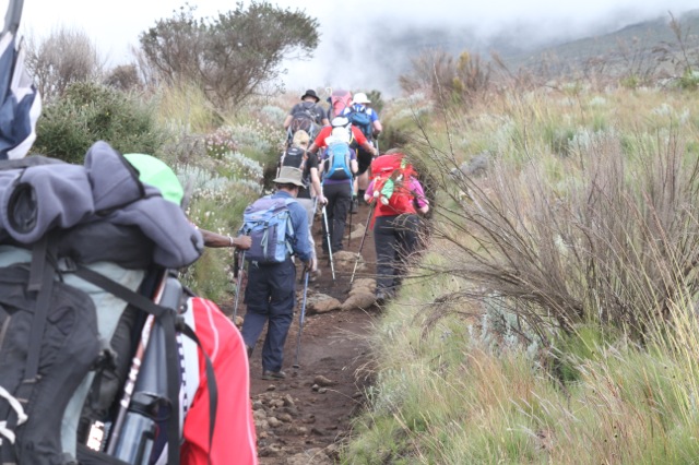 How to climb Mount Kilimanjaro