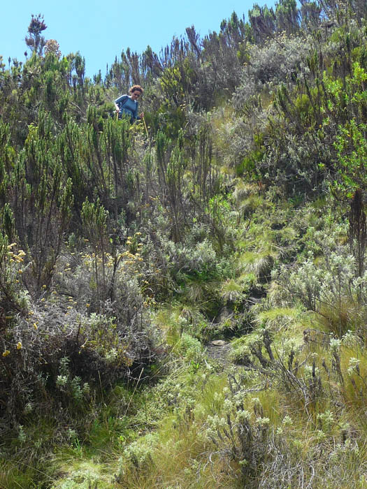 climbing Mount Elgon, hiking, Uganda