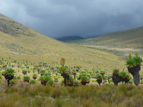 climbing Mount Elgon, hiking, Uganda