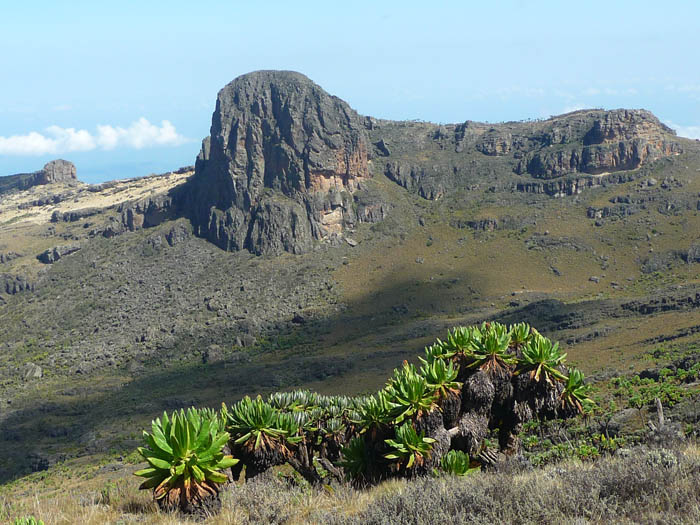 climbing Mount Elgon, rock, hiking, Uganda