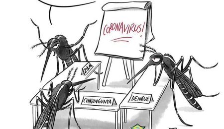 Corona Virus China Africa cartoon