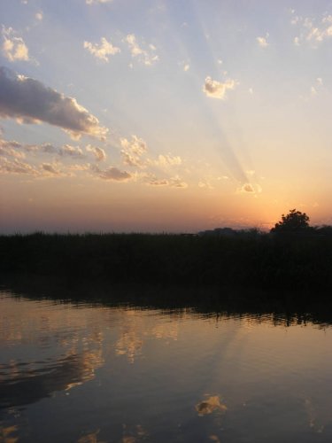 dawn ferry crossing Murchison Falls. Diary of a Muzungu