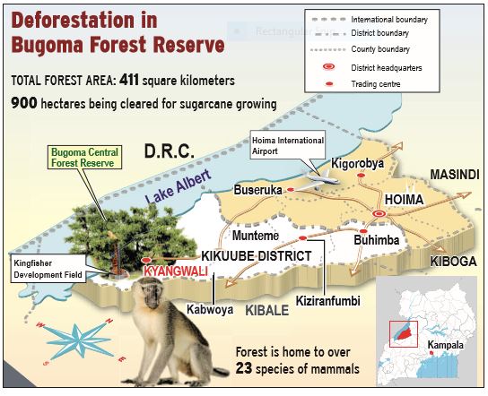 deforestation Bugoma Forest Reserve. COURTESY New Vision Uganda