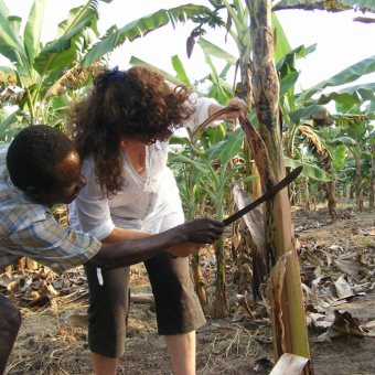 Deo's Homestead tour Ishasha. muzungu matooke garden