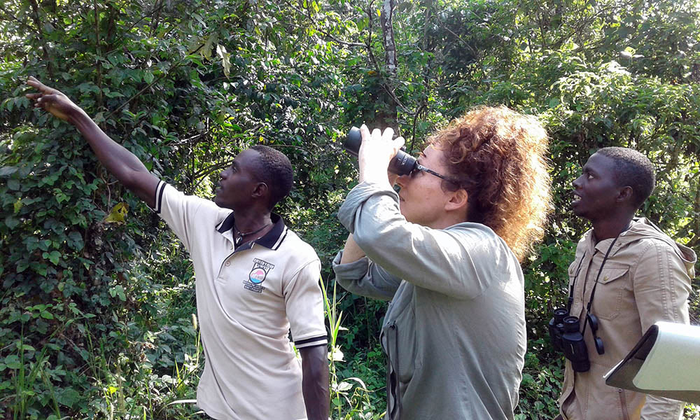 Derrick Kirungi. bird guide. Sunbird Hill Kibale forest edge