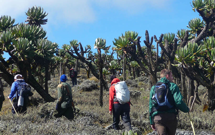 Diary of a Muzungu hiking Mount Elgon Uganda