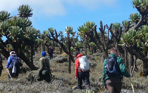 Diary of a Muzungu hiking Mount Elgon, Uganda