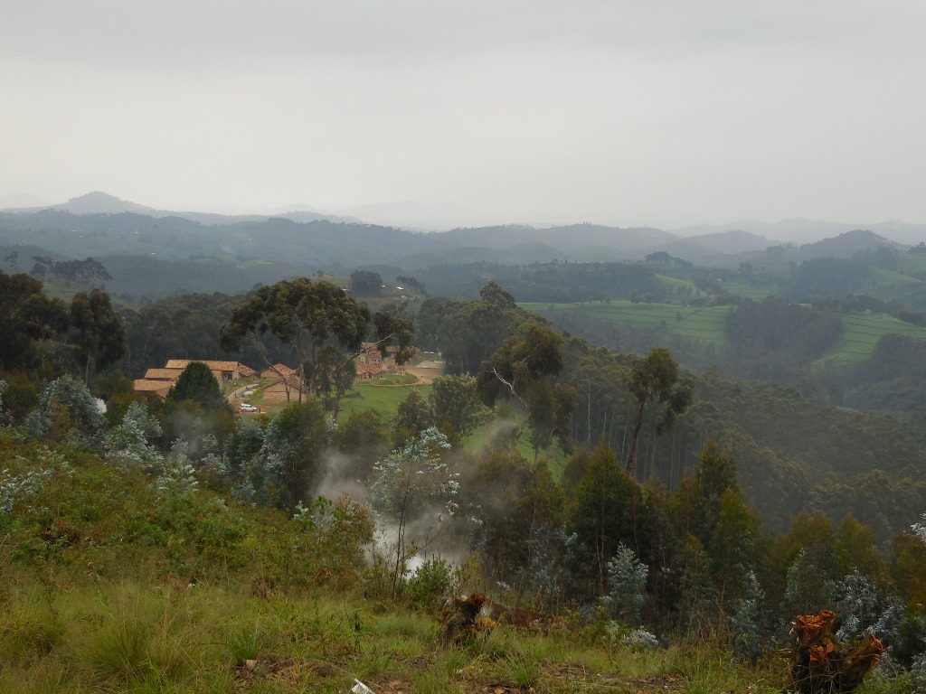 diary-of-a-muzungu-kitabi-view-nyungwe-forest-rwanda