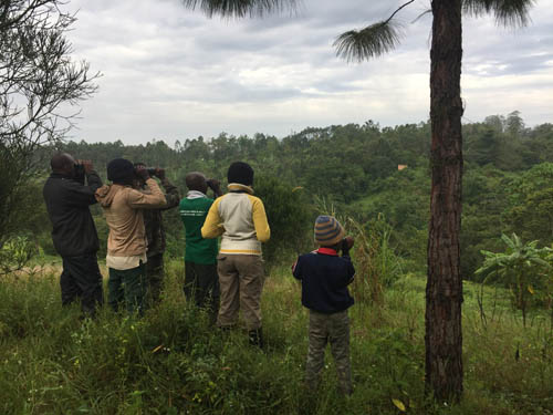 Big Birding Day, Sunbird Hill, Kibale