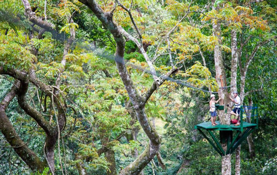 ecotours zipline Mabira Forest