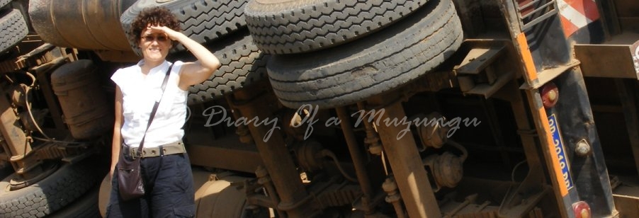 Overturned lorry midway along Ishasha Road, Maramagambo Forest