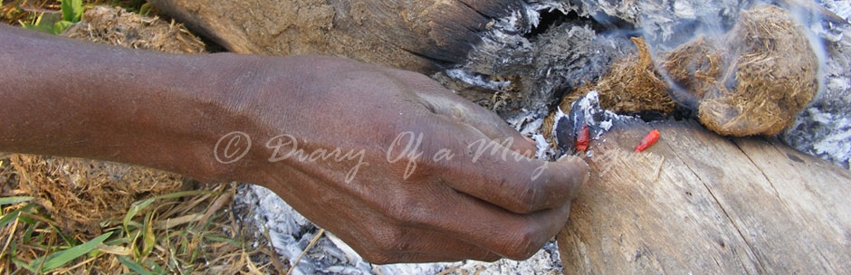 Elephant dung deterrent, Ishasha, Queen Elizabeth National Park