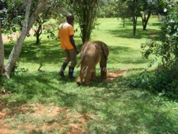 Charlie the elephant and Bruce his keeper