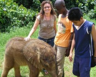 The Muzungu meets the elephant