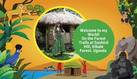 Episode 1. Welcome to my world. On the forest trails at Sunbird Hill. The East Africa Travel Podcast by Charlotte Beauvoisin, Diary of a Muzungu