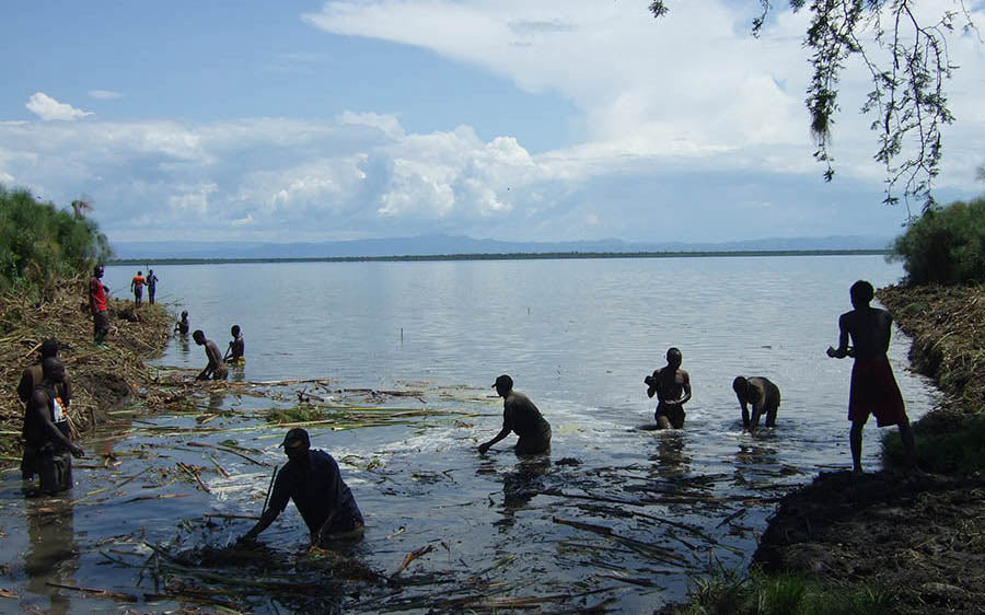 Ex-poachers clearing papyrus Lake George PHOTO UCF