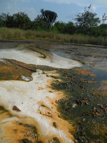 Female Hot Spring. Sempaya, Semliki, Uganda (4)