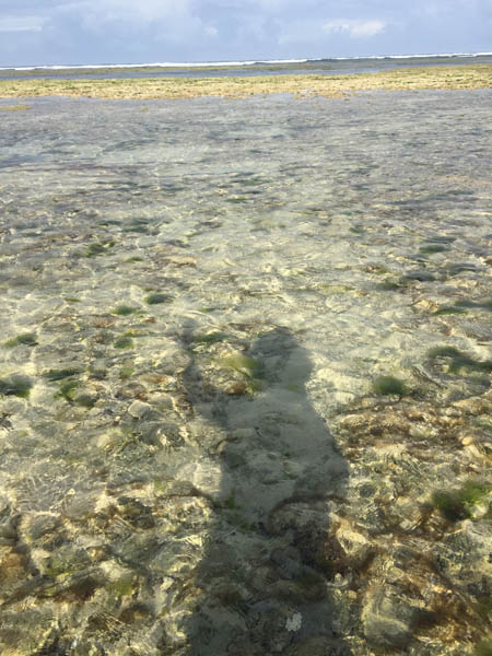 Low tide reef Nyali Beach Mombasa