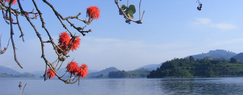 Lake Bunyonyi viewed from Bushara Island