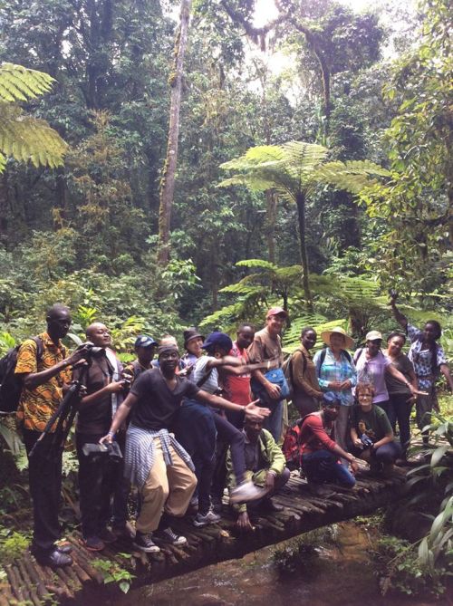 hiking Bwindi