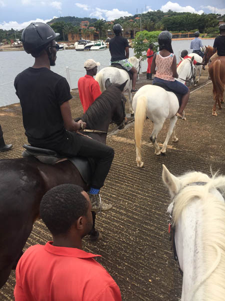 Speke Equestrian Centre horse riding lessons