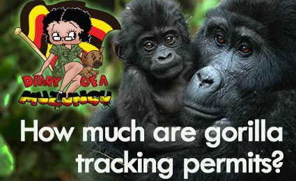 How much are gorilla tracking permits. Diary of a Muzungu