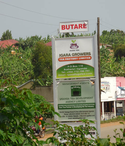 Igara tea factory signpost