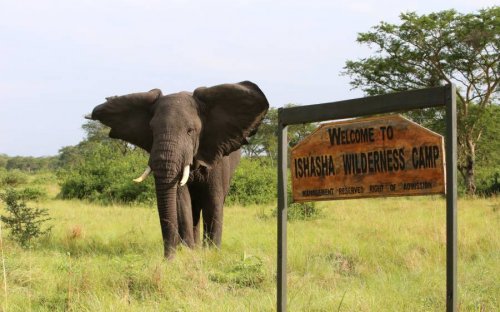 Ishasha Wilderness Camp, Queen Elizabeth National Park