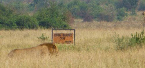 Ishasha Wilderness Camp, Queen Elizabeth National Park