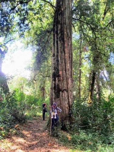 Jean Byamugisha. Mount Elgon forest hike Uganda