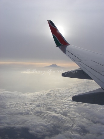 Kilimanjaro at dawn