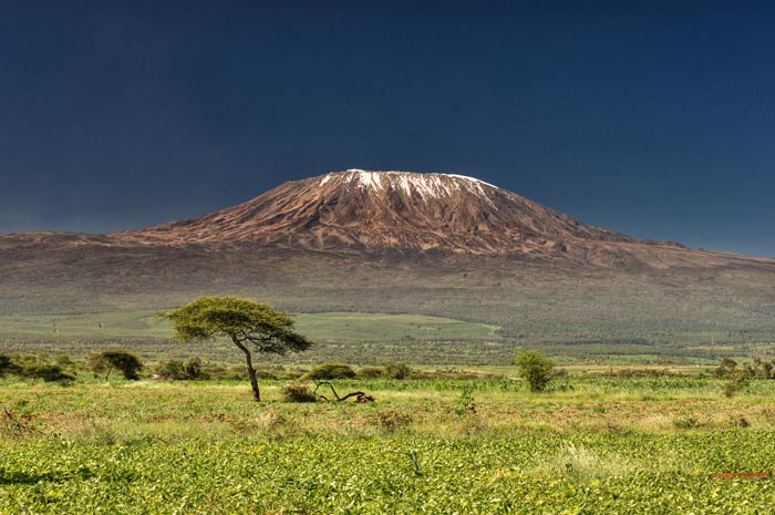 Kilimanjaro National Park, Tanzania. PHOTO Manya Africa Tours