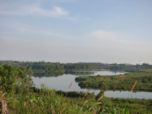 Lake Saka, Saaka, Fort Portal. Bird count (17)