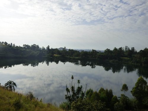 Lake Saka, Saaka, Fort Portal. Bird count (29)