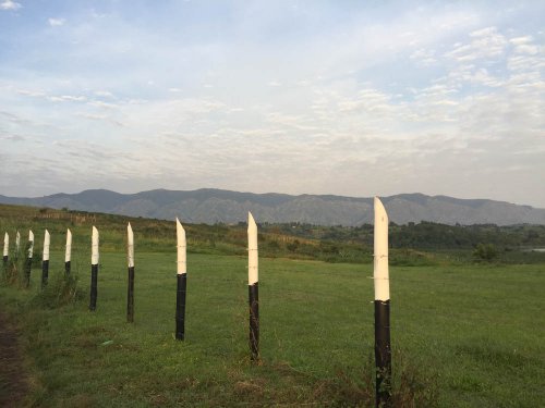 Lake Saka, Saaka, Fort Portal. Nature Uganda bird monitoring (2)