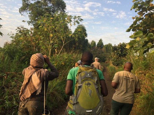 Nature Uganda Bird Population Monitoring team Lake Saka