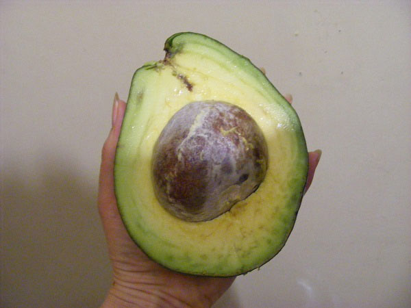 large Ugandan avocado. Diary of a Muzungu