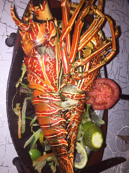 grilled lobster. Voyager Resort, Smugglers’ Cove restaurant, Nyali Mombasa 