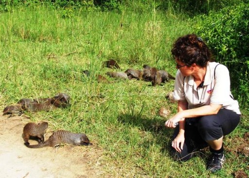 Muzungu with Mongooses at Mweya, Queen Elizabeth National Park. Uganda travel blog